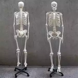 \